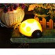 Sound Control and Light-dependent Control Night Light Cute Ladybug with Extensible Wings BC20