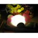 Sound Control and Light-dependent Control Night Light Cute Ladybug with Extensible Wings BC20