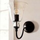 40W Nature Inspired Iron Wall Light with Transparent Glass Shade