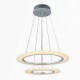 Modern LED Pendant Light Ceiling Hanging Chandeliers Lamp Fixtures with 2 ring 4060 CE FCC ROHS