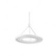 Modern LED Pendant Lights/Contemporary Bedroom/Dining Room/Study Room/Office Metal/90-240V