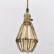 American country Vintage single head lotus Iron Chandelier