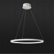 30W Pendant Light Modern Design/High Quality LED Ring/Fit for Showroom,Living Room, Dining Room,Study Room/Office