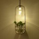 New Modern Contemporary Decorative Design Pendant Light/ Dinning Room, Living Room, Bedroom(Does Not Include Plants