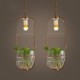 New Modern Contemporary Decorative Design Pendant Light/ Dinning Room, Living Room, Bedroom(Does Not Include Plants