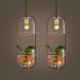 New Modern Contemporary Decorative Design Pendant Light/ Dinning Room, Living Room, Bedroom(Does Not Include Plants