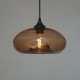 Modern Characteristic 1 Light Pendant With Transparent Shade