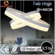 LED Modern Light Home Decorated Ceiling Lights 100W