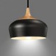 Max 60W Vintage / Retro Mini Style Painting Metal Pendant LightsLiving Room / Bedroom / Dining Room / Kitchen