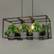 New Modern Contemporary Decorative Design Pendant Light/ Dinning Room, Living Room, Bedroom(Does Not Include Plants)