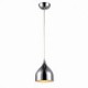 Iron Electroplated Pendant Light Modern Lighting Lamp