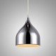 Iron Electroplated Pendant Light Modern Lighting Lamp