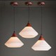 Simple Dining Room Pendant lamp