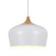 Pendant Lights/ Modern/Contemporary Living Room/ Bedroom / Dining Room //Office / Kids Room/ Hallway Metal