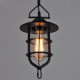 Medium Vintage Black Cage Shape Glass And Metal Cover Pendant Light