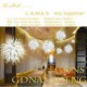 Moooi Style Firework LED Pendant Lights Stainless Steel GDNS Dandelion