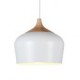 Pendant Lights/ Modern/Contemporary Bedroom / Dining Room/ Study Room/ Office/ Kids Room/ Hallway Metal