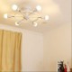 The Entrance Regulation Control Bedroom Ceiling Lamps