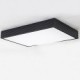 New Modern Contemporary Decorative Design Ceiling Light/ Dinning Room, Living Room, Bedroom