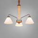 MAX 60W Vintage Mini Style Painting Wood/Bamboo Flush Mount Living Room / Bedroom / Dining Room / Study Room/Office / Kids Room