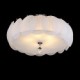 5 Light Glass Chandelier/ Modern Pendant Light/ Dinning Room, Living Room, Family Room, Bedroom