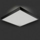 New Modern Contemporary Decorative Design Ceiling Light/ Dinning Room, Living Room, Bedroom