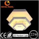 LED Modern Light LED Ceiling Light 22W