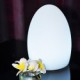 LED Light in Egg Shape