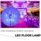 Floor Lamps Imitate Crystal / LED Modern/Comtemporary Metal/GDNS Dandelion/Firework